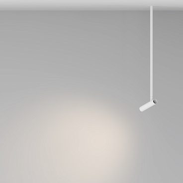 Подвесной светильник Maytoni P141RS-L125-6W3K-W