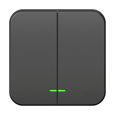 Выключатель Systeme Electric Blanca двухклавишный накладной антрацит с подсветкой (BLNVA105116)