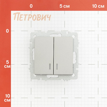 Выключатель IEK Brite ВС10-2-1-БрС двухклавишный встраиваемый сталь с подсветкой (BR-V20-1-10-K46)
