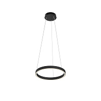 Подвесной светильник Maytoni MOD058PL-L22BK