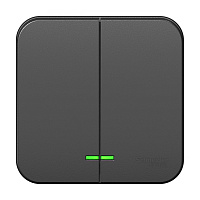 Выключатель Systeme Electric Blanca двухклавишный накладной антрацит с подсветкой (BLNVA105116)