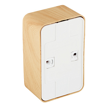 Розетка Systeme Electric Blanca накладная ясень (BLNRA010215)