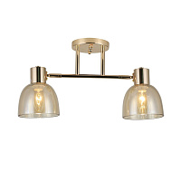 Люстра потолочная Schaffner Lettore E14 80 Вт 12 кв.м (4570-2 GD)