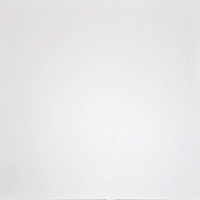 Domino Керамогранит Белый G-100/MR/60x60