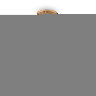 Подвесной светильник Maytoni MOD017PL-L50MG