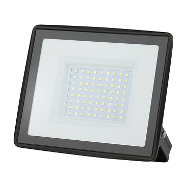 Прожектор светодиодный Эра LPR-02 6500К 100 Вт IP65 черный