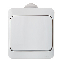 Выключатель Systeme Electric Этюд одноклавишный накладной серый (BA10-041C)