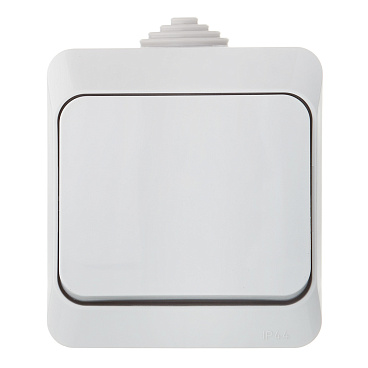 Выключатель Systeme Electric Этюд одноклавишный накладной серый (BA10-041C)