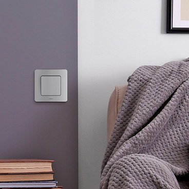 Рамка Legrand Inspiria одноместная алюминий (673932)