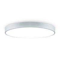 Потолочный светильник Freya FR6129CL-L80GR