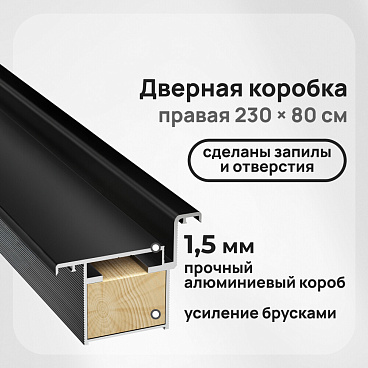 Коробка дверная скрытого монтажа Invisible 59х46,5х2520 мм (800х2300 мм) правая черная с петлями и замком (2,5 шт.)