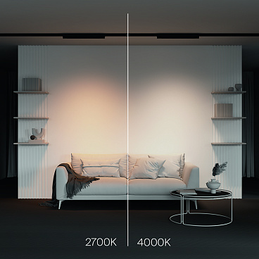 Трековый светильник Technical TR196-3-20W2.7K-B(N)