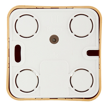 Розетка телефонная Systeme Electric Blanca накладная ясень (BLNIA011005)