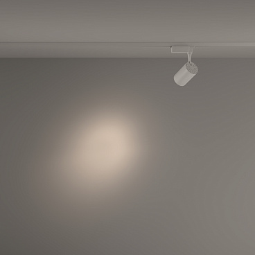 Трековый светильник Technical TR003-1-10W4K-S-W