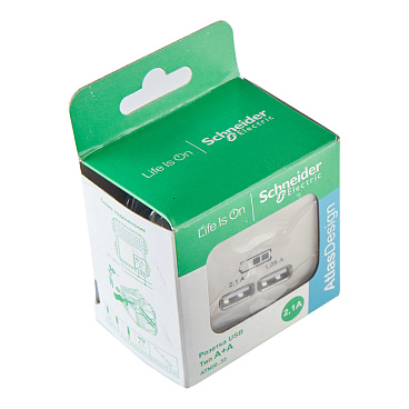 Розетка USB Systeme Electric AtlasDesign встраиваемая бежевая 2хUSB-А (ATN000233)