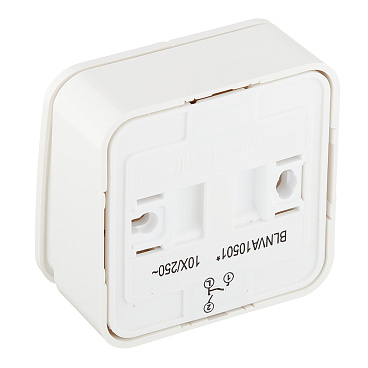 Выключатель Systeme Electric Blanca двухклавишный накладной молочный (BLNVA105012)