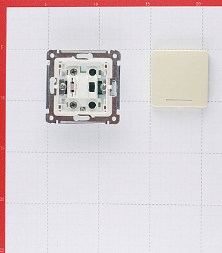 Выключатель Hegel Master одноклавишный встраиваемый слоновая кость с самовозвратом и подсветкой (ВС10-432-01)