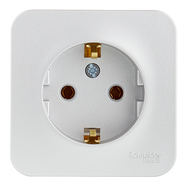 Розетка Systeme Electric Blanca накладная алюминий (BLNRA010113)