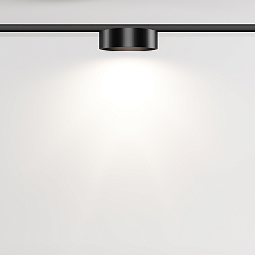 Трековый светильник Technical TR189-1-12W4K-B