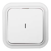 Выключатель Svet одноклавишный накладной белый с подсветкой (SV1001-0001)