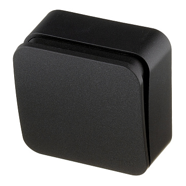 Выключатель Systeme Electric Blanca одноклавишный накладной антрацит с самовозвратом (BLNCA101016)