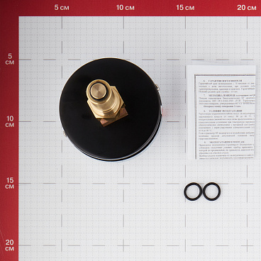 Термоманометр Росма ТМТБ-31Т.1 аксиальный 1/2 НР(ш) 10 бар d80 мм (2292)