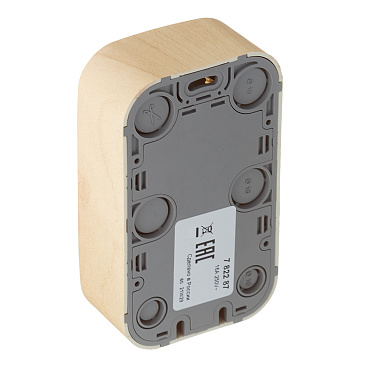 Розетка Legrand Quteo накладная дерево со шторками (782287)