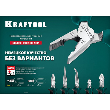 Плоскогубцы комбинированные Kraftool Expert 160 мм (22011-1-16_z01)