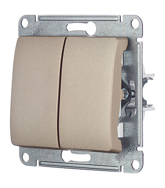 Выключатель Systeme Electric Glossa двухклавишный встраиваемый титан (GSL000451)