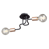 Люстра потолочная Vitaluce V4560 E27 120 Вт 6 кв.м (V4560-1/2PL)