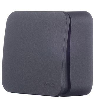 Выключатель Systeme Electric Blanca одноклавишный накладной антрацит (BLNVA101016)