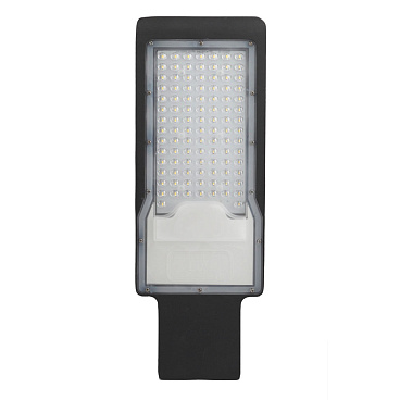 Светильник уличный светодиодный Эра 5000К 100 Вт консольный IP65 (SPP-503-0-50K-100)