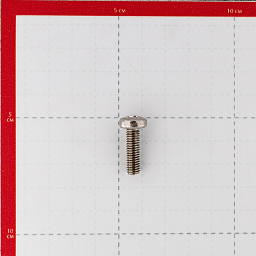 Винт нержавеющая сталь M6x20 мм DIN 7985 полукруглая головка (6 шт.)