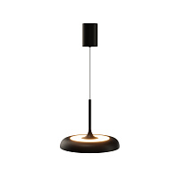 Подвесной светильник Maytoni MOD189PL-L39B3K