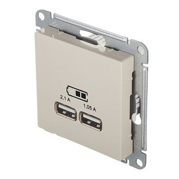 Розетка USB Systeme Electric AtlasDesign встраиваемая бежевая 2хUSB-А (ATN000233)