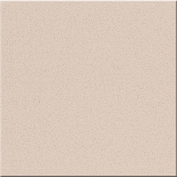 ST17 60х60 неполир