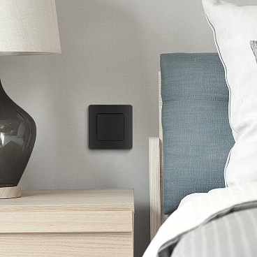 Выключатель Legrand Inspiria одноклавишный встраиваемый антрацит (673603)