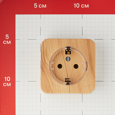 Розетка Systeme Electric Blanca накладная ясень компакт (BLNRA110115)