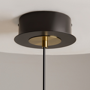 Подвесной светильник Maytoni MOD348PL-L14BBS3K