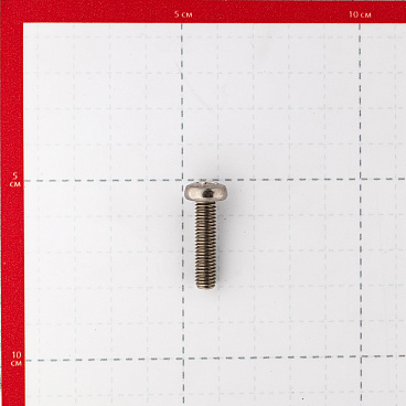 Винт нержавеющая сталь M6x25 мм DIN 7985 полукруглая головка (4 шт.)
