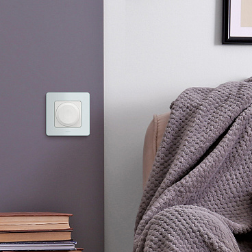 Рамка Legrand Inspiria одноместная мятная (673935)