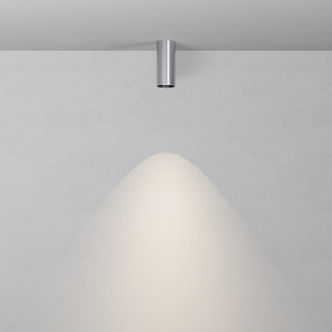 Потолочный светильник Technical C056CL-L12W4K-W-PT