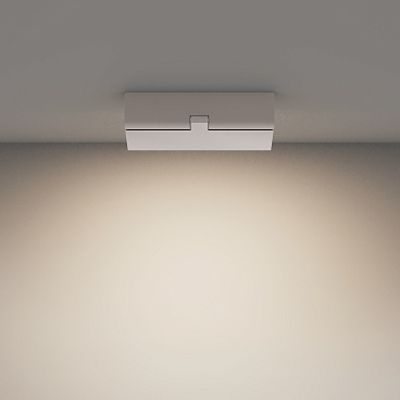 Потолочный светильник Technical C133CL-12W4K-W