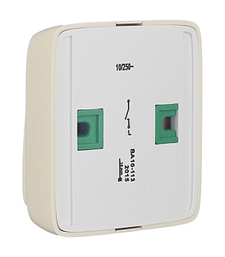 Выключатель Hegel Alfa одноклавишный накладной слоновая кость (ВА10-113-01)