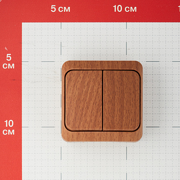 Выключатель Systeme Electric Этюд двухклавишный накладной бук с подсветкой (BA10-006T)