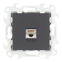 Розетка компьютерная Simon 24 Harmonie встраиваемая графит 2хRJ45 (2410598-038)