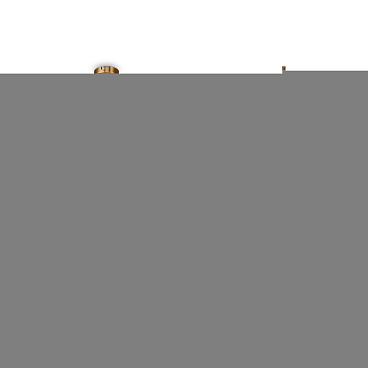 Подвесной светильник Freya FR5374PL-10BS