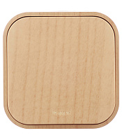 Выключатель Legrand Quteo одноклавишный накладной дерево (782260)