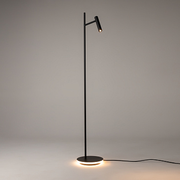 Напольный светильник (торшер) Maytoni Z010FL-L8B3K