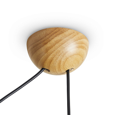 Потолочный светильник Freya FR5554CL-01T